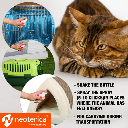 Cat calming pheromone spray back view