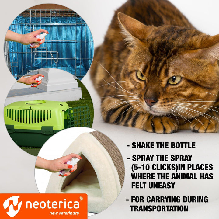 Cat calming pheromone spray back view