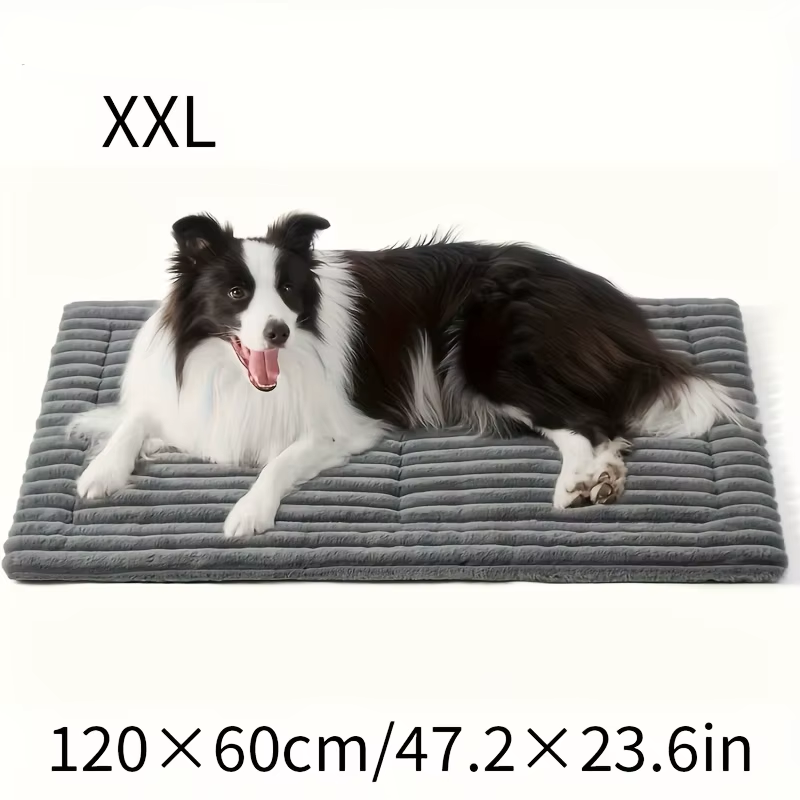 CozyPaws dog bed mat folded for travel