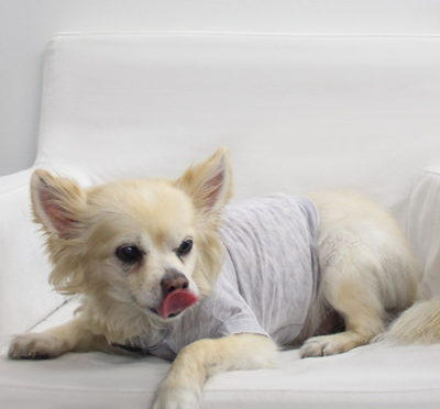 Doggy Burnout Tee