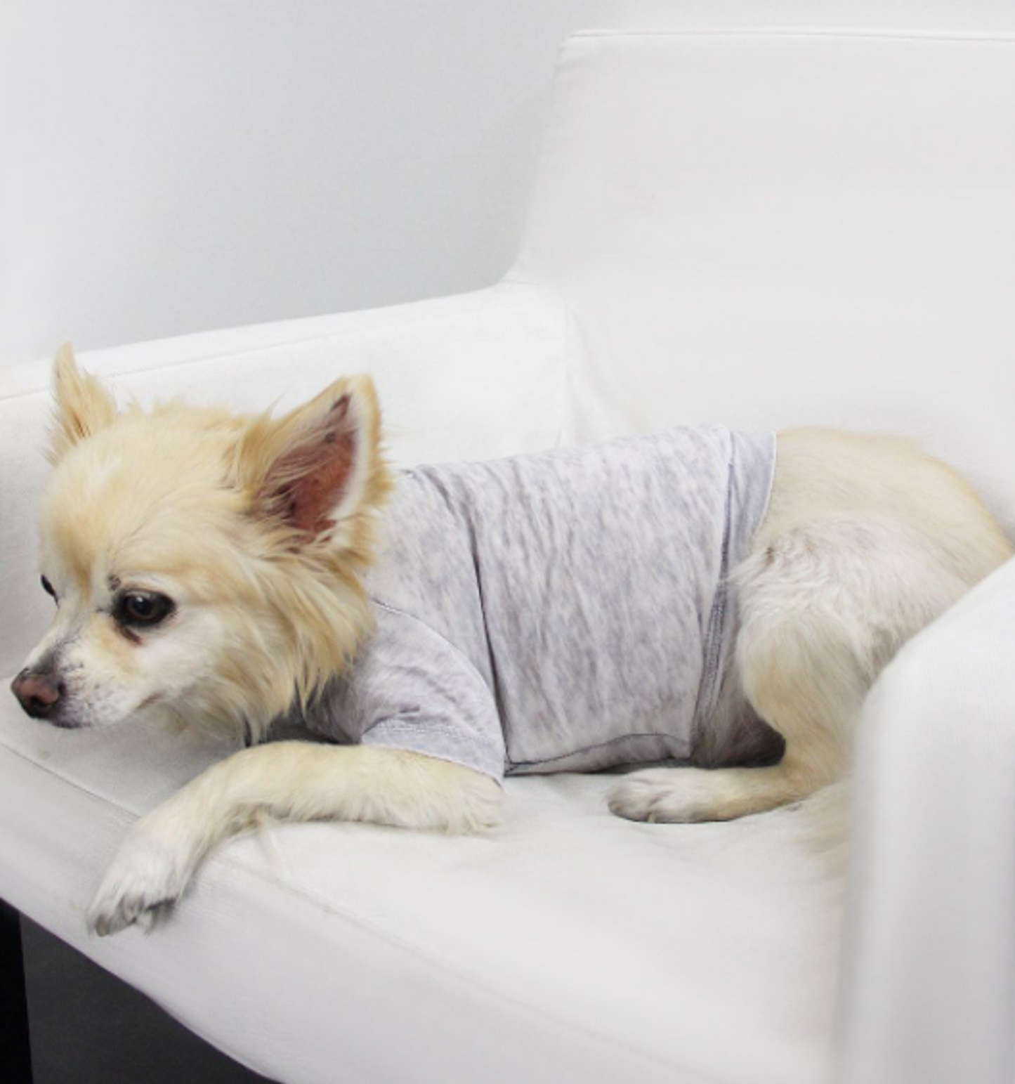 Doggy Burnout Tee