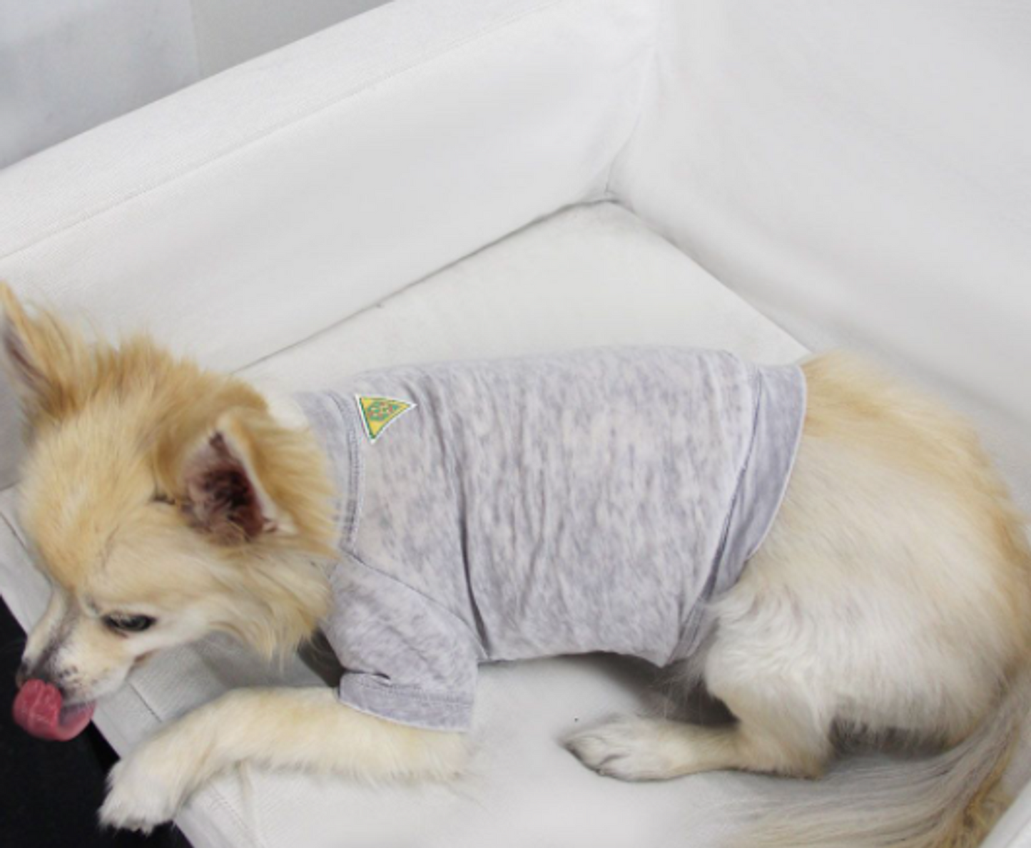 Doggy Burnout Tee