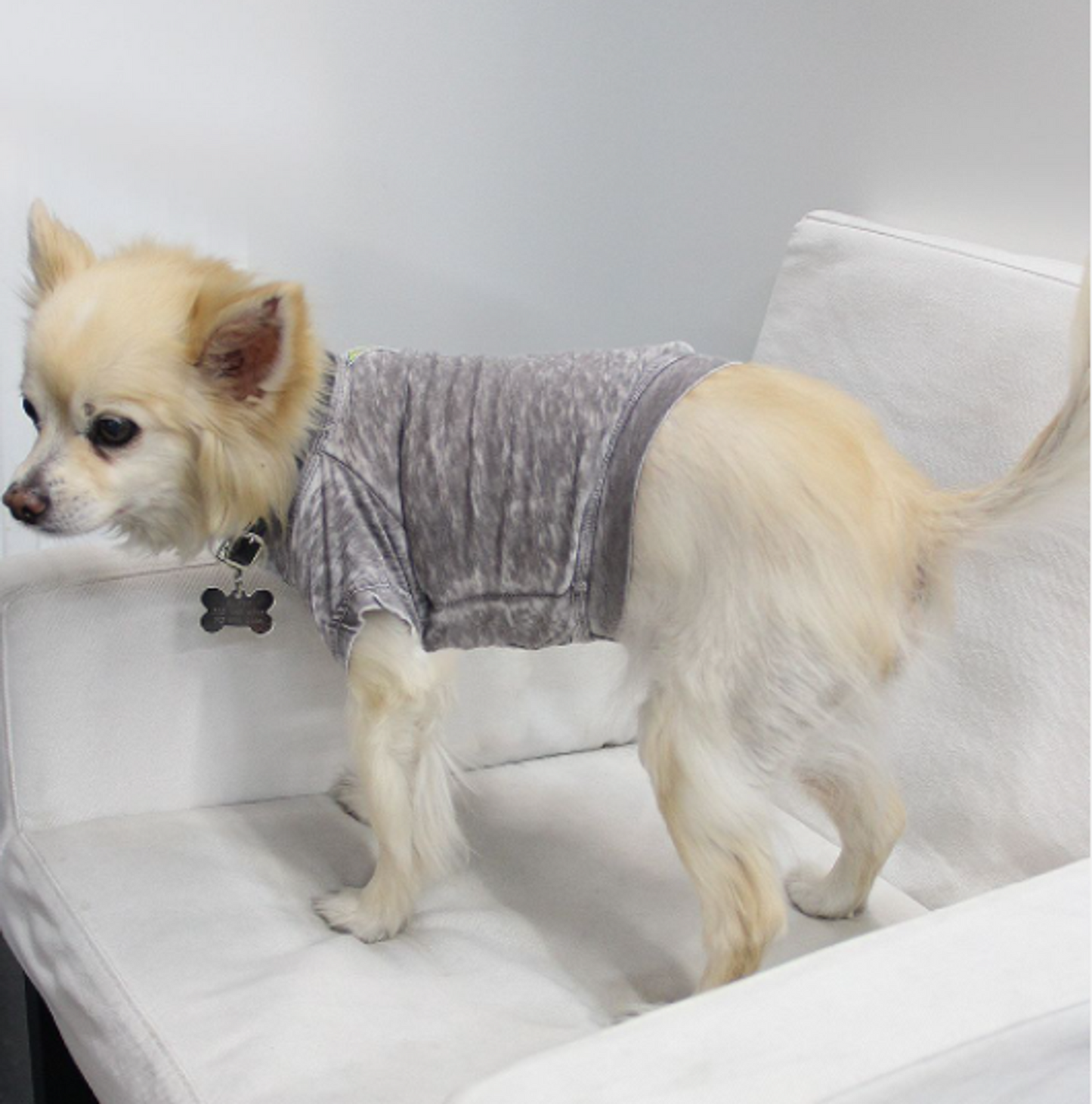 Doggy Burnout Tee