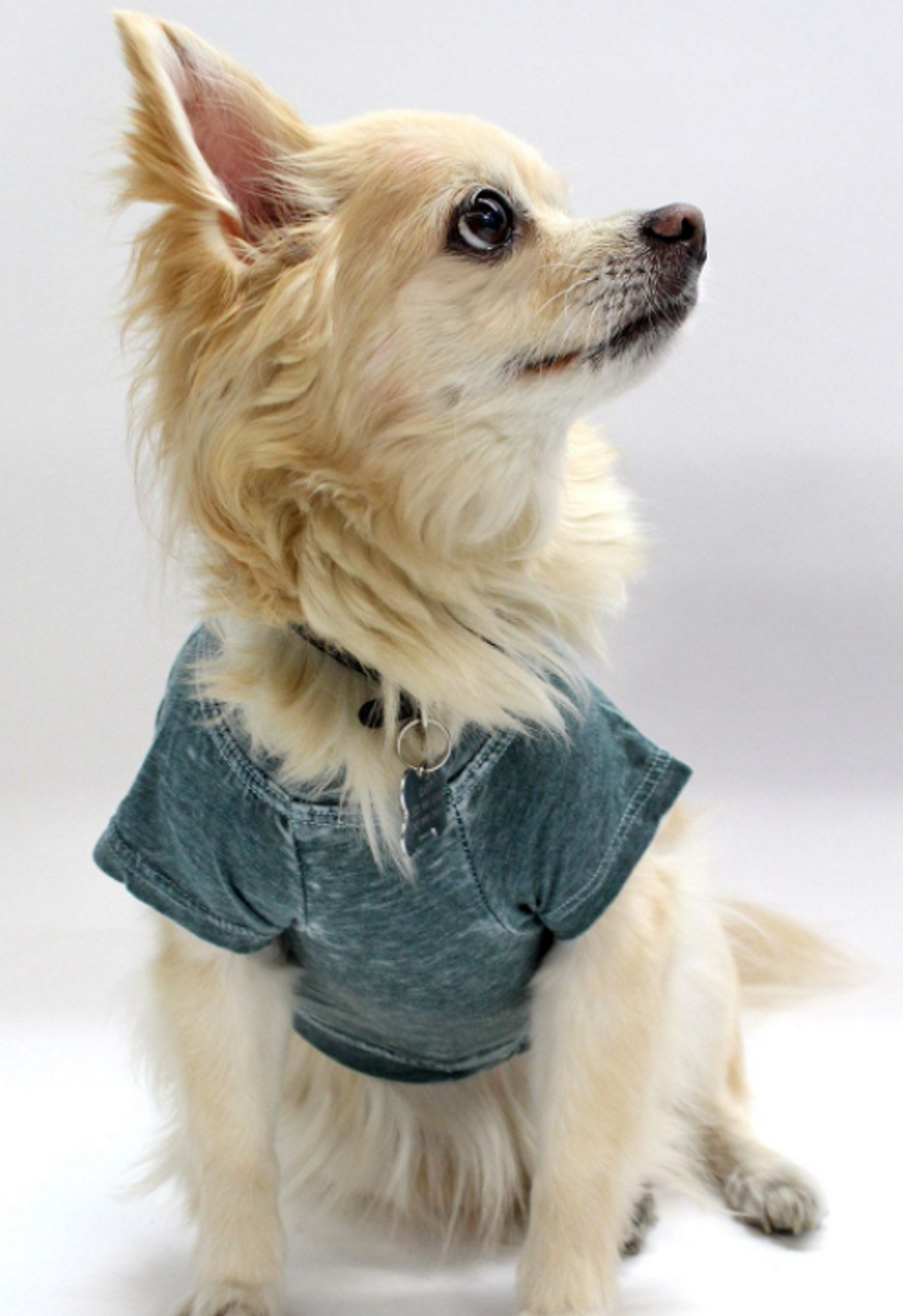 Doggy Burnout Tee