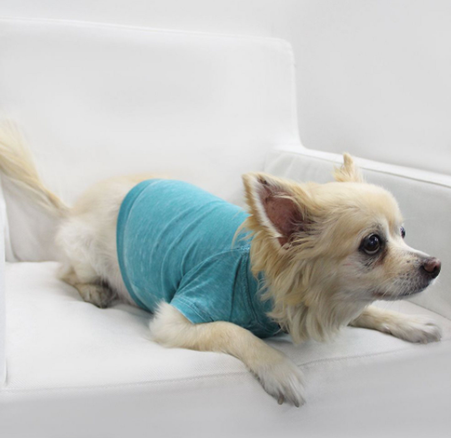 Doggy Burnout Tee