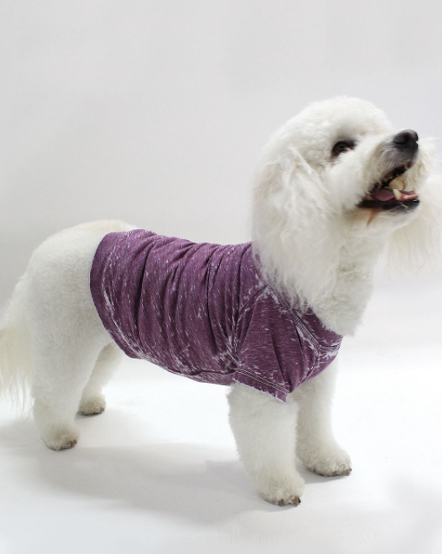 Doggy Burnout Tee