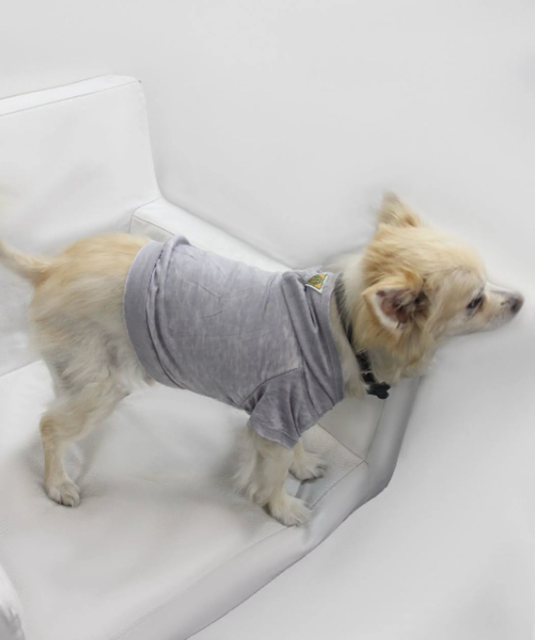 Ash gray burnout wash pet hoodie, view 1