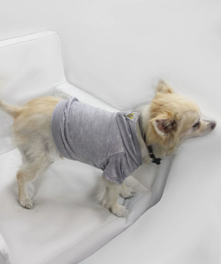 Ash gray burnout wash pet hoodie, view 1