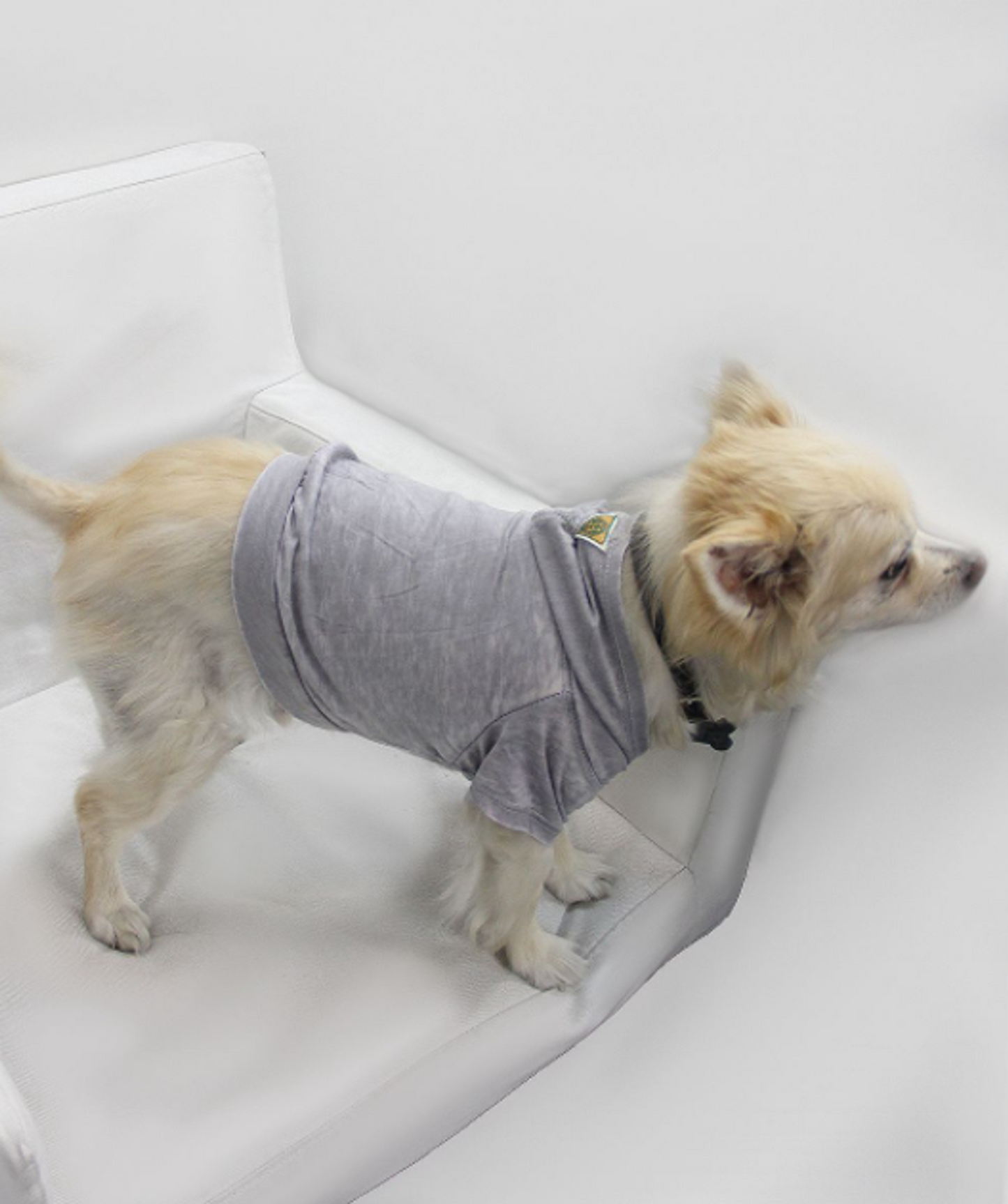 Doggy Burnout Hoodie
