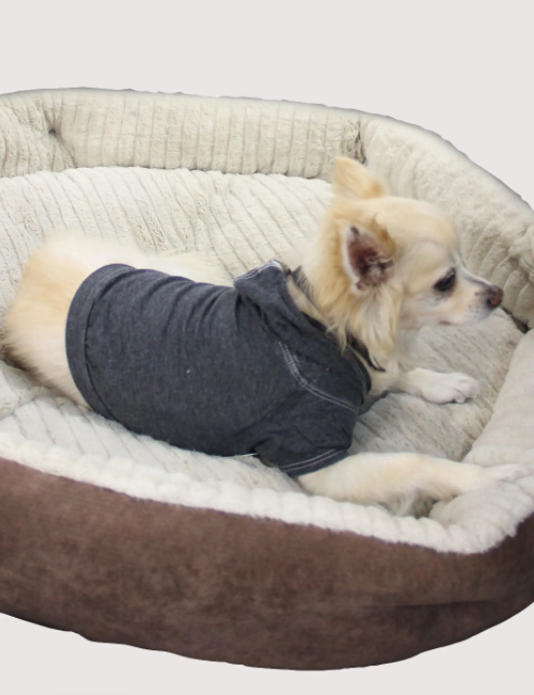 Black burnout wash pet hoodie, large alternate view