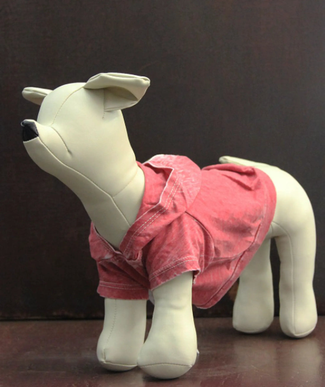 Burnout Wash Pet Hoodie