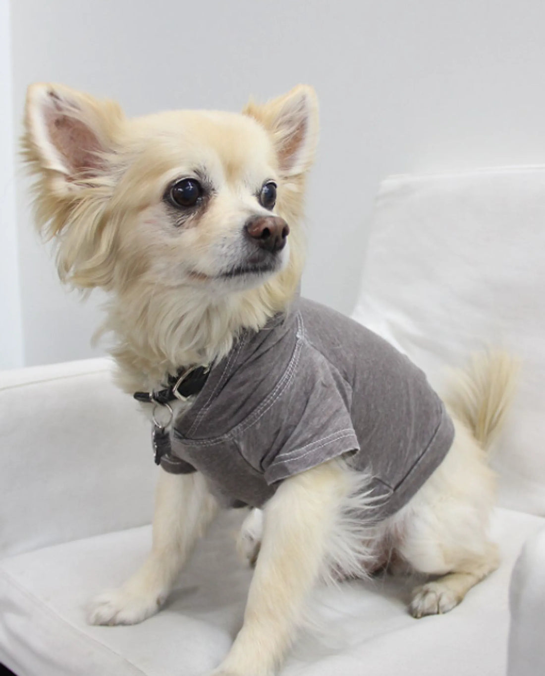 Burnout Wash Pet Hoodie