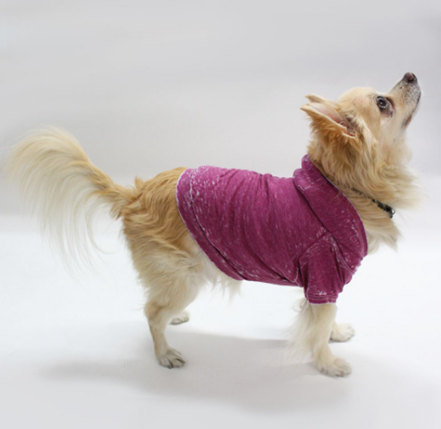 Doggy Burnout Hoodie