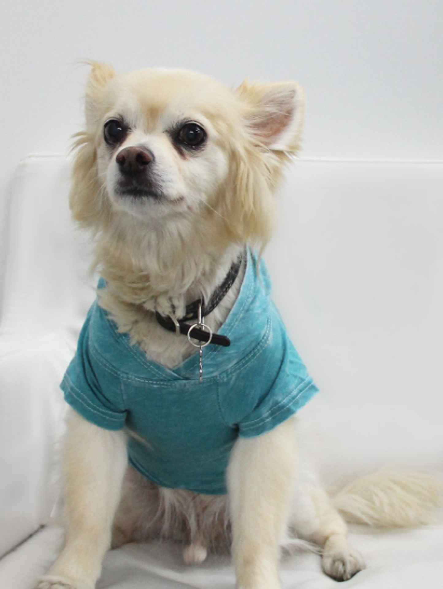 Doggy Burnout Hoodie