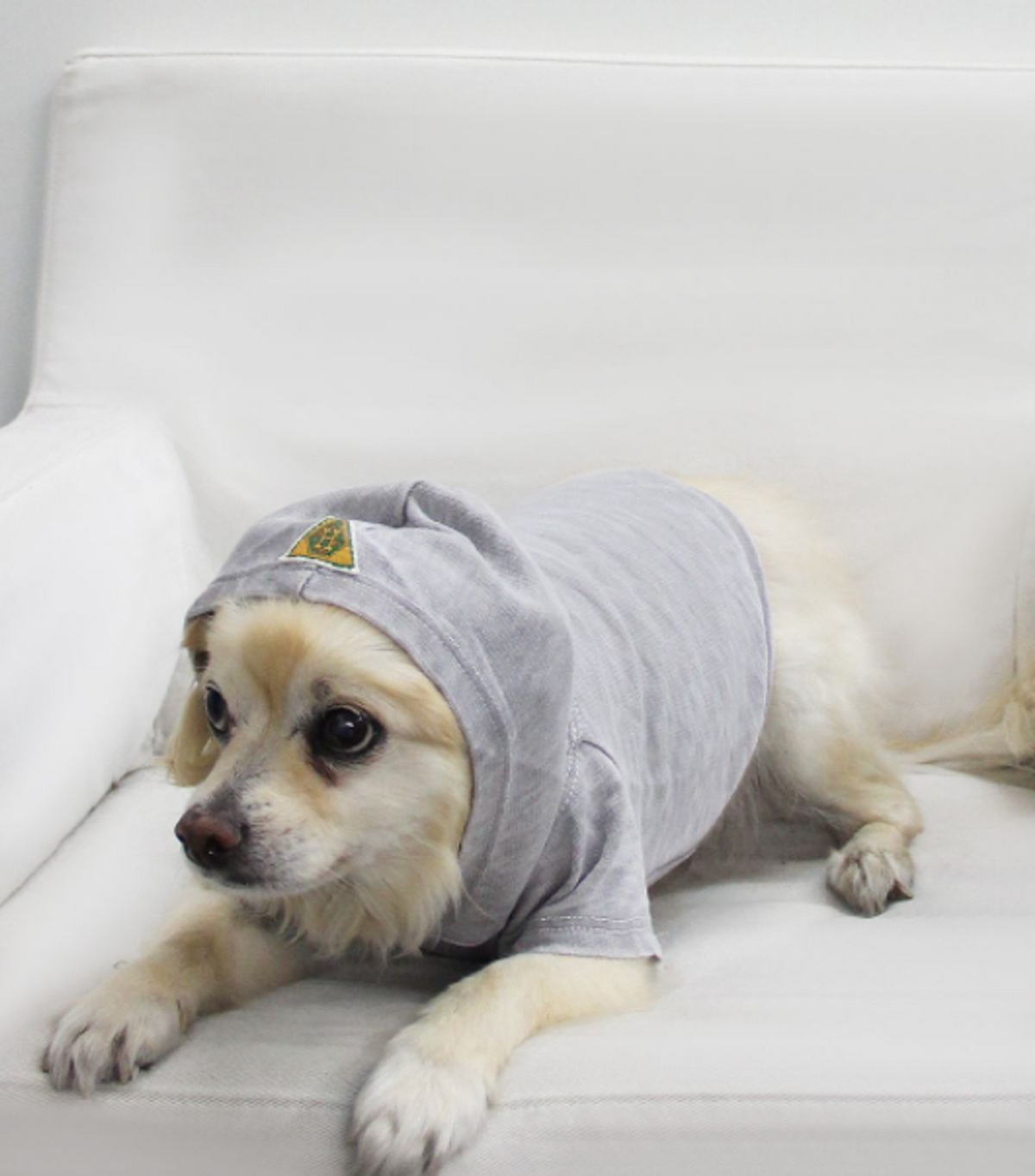 Doggy French Terry Hoodie