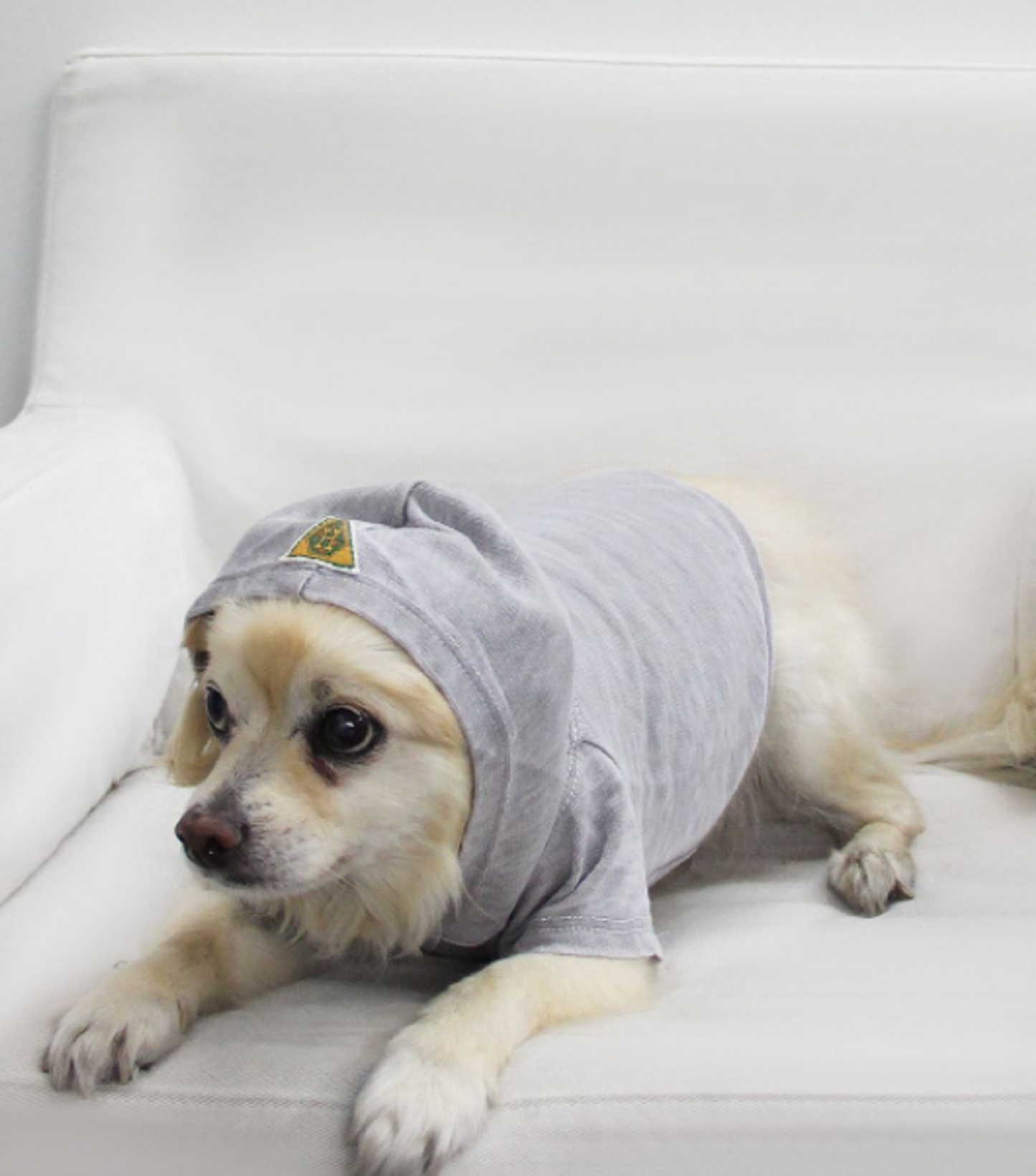 Doggy French Terry Hoodie