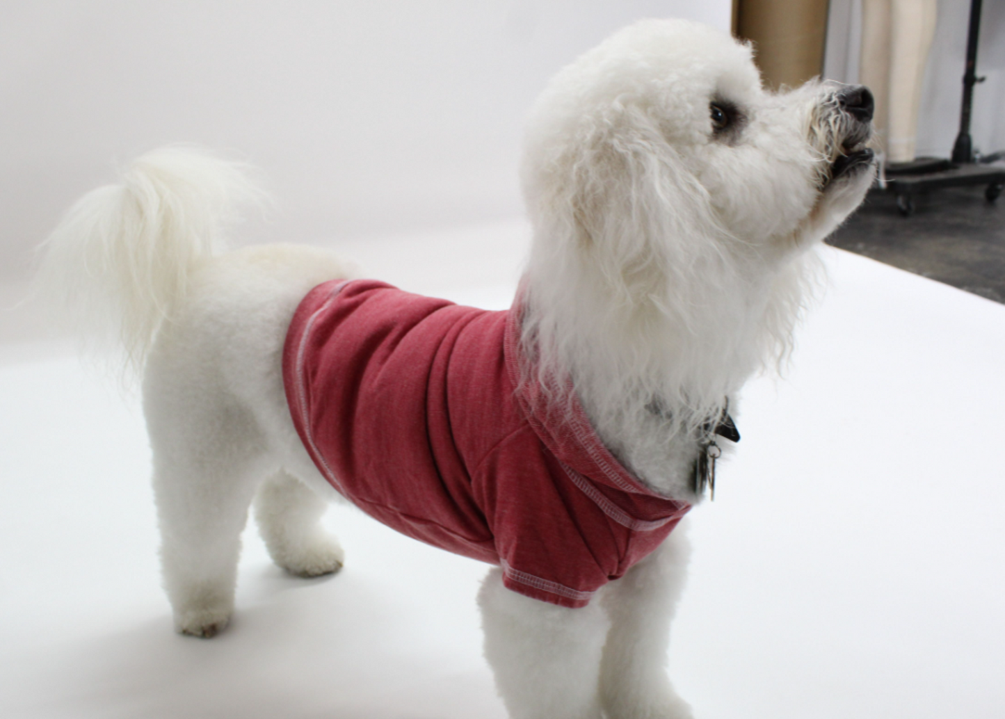 Doggy French Terry Hoodie