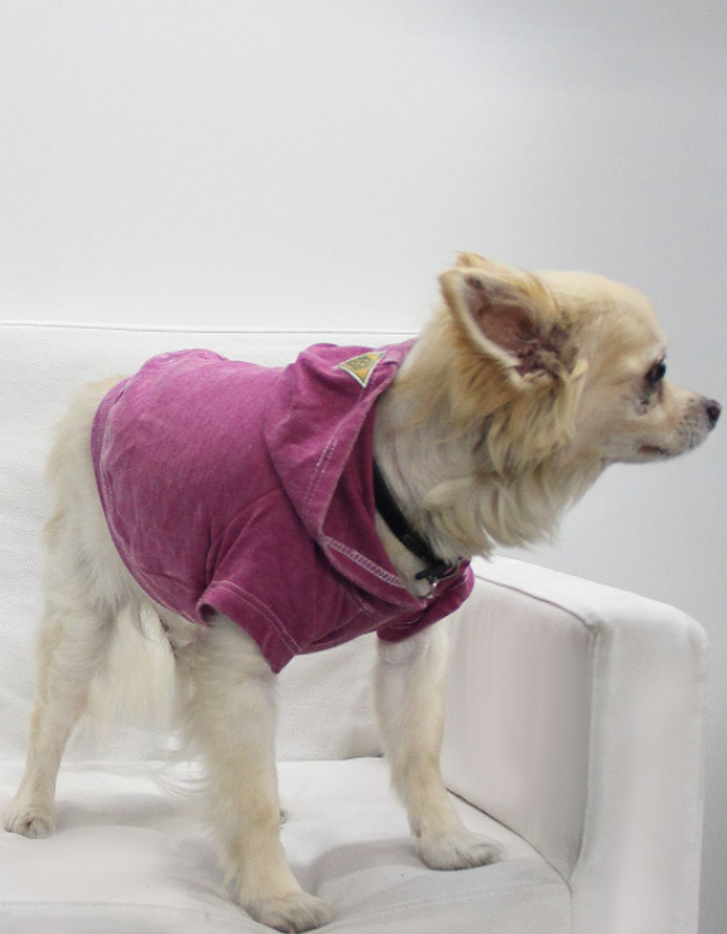 Doggy French Terry Hoodie