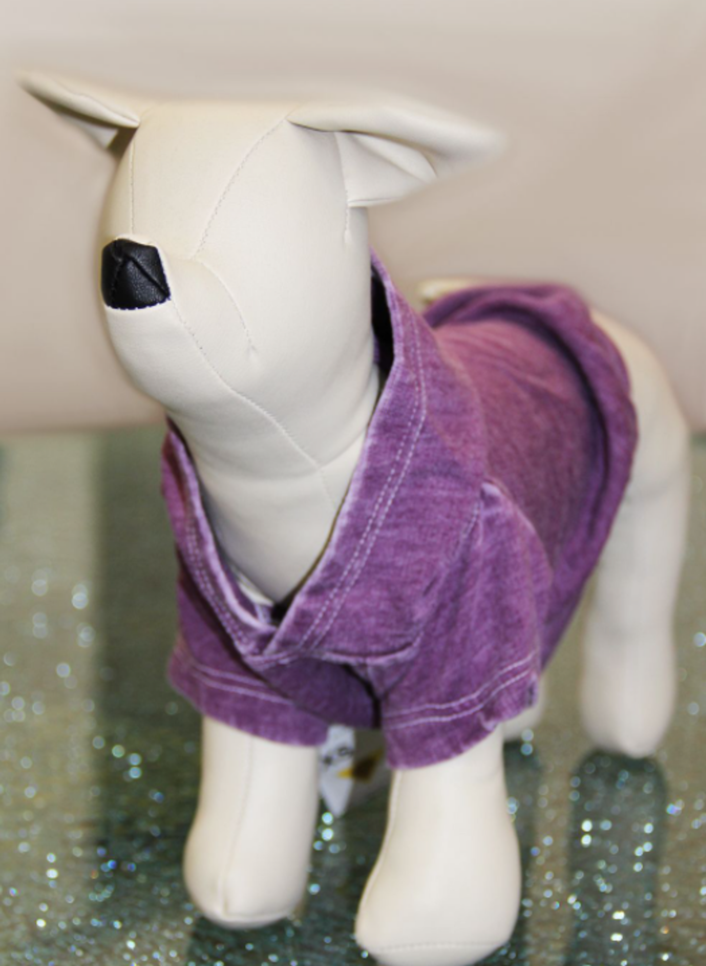 Doggy French Terry Hoodie
