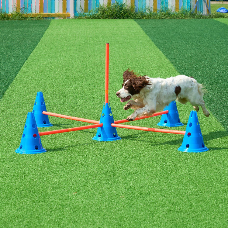 Dog Agility Cones & Rods Set detail view 8