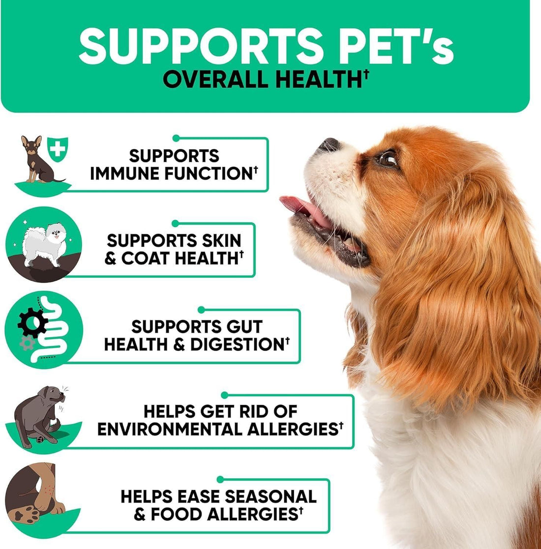 Dog allergy relief chews alternate angle