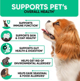 Dog allergy relief chews alternate angle