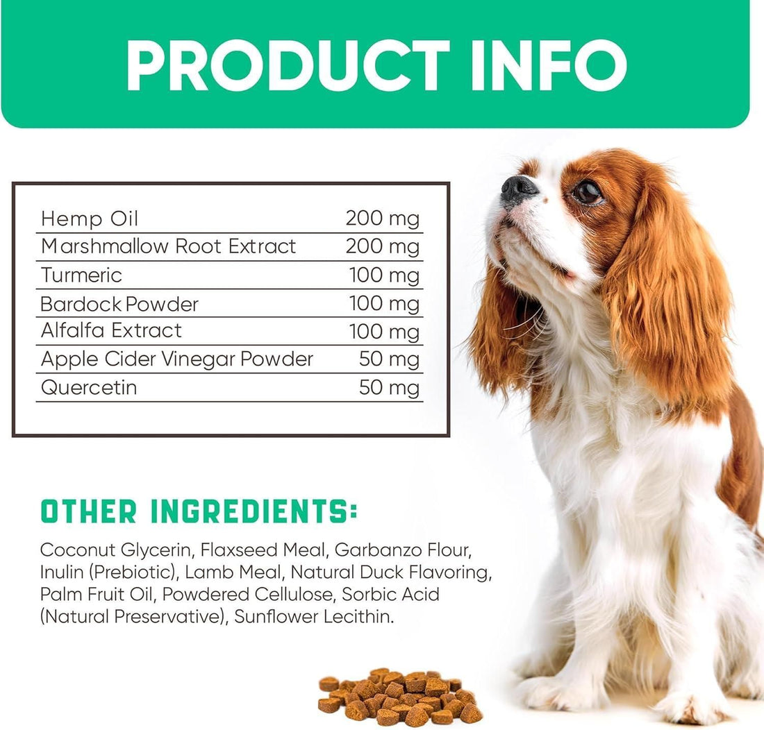 Dog allergy relief chews in-use lifestyle