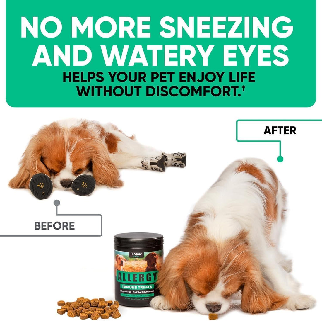 Dog allergy relief chews back view