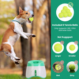 Dog Ball Launcher With Balls6