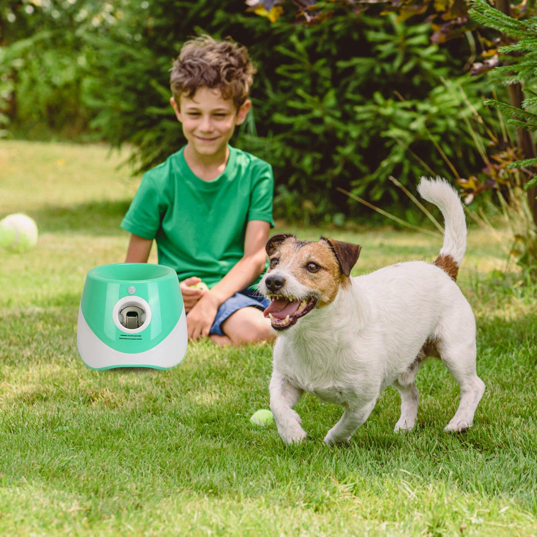 Dog Ball Launcher With Balls8
