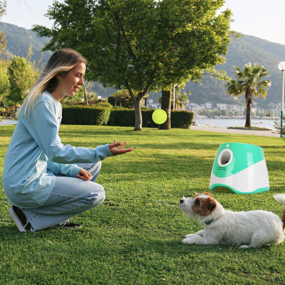 Dog Ball Launcher With Balls9