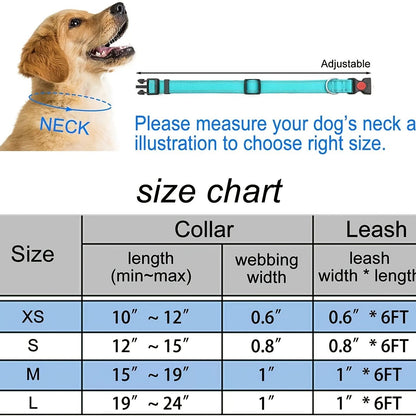 No pull dog harness leash attachment ring