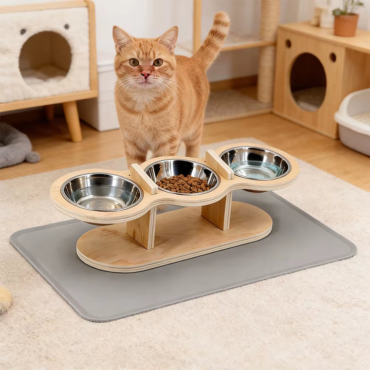 Stainless steel cat bowls on the elevated feeder stand