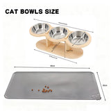 Cat eating from the raised cat bowl, lifestyle shot