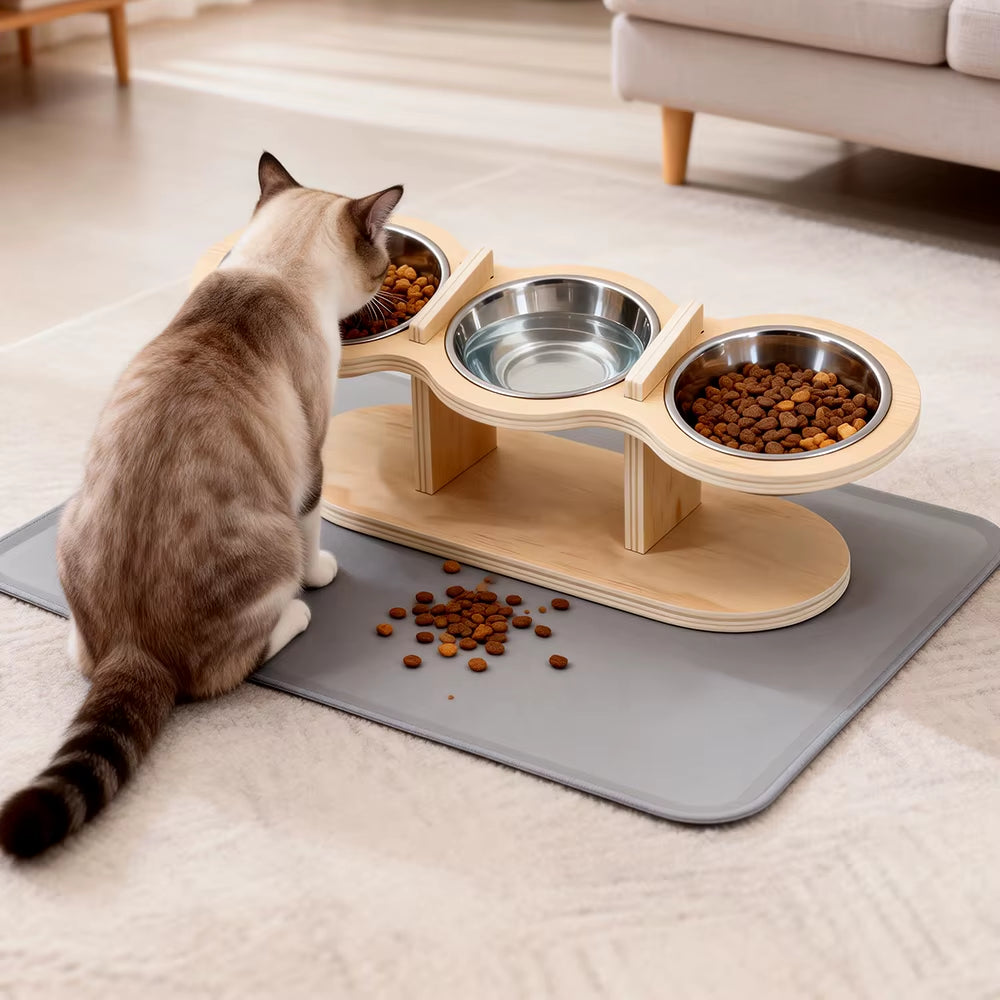 Tilted cat bowl detail and stand frame close-up