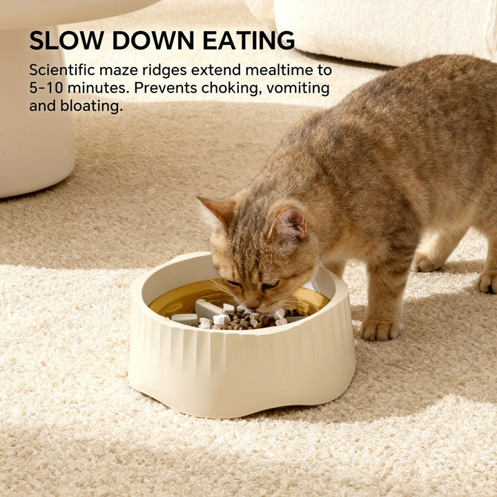 2-in-1 slow feeder bowl flat side standard dish