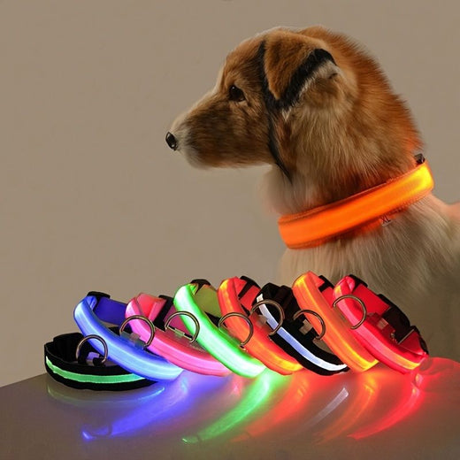 Glow LED Pet Collar USB Rechargeable