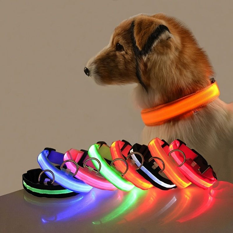 Glow LED Pet Collar USB Rechargeable