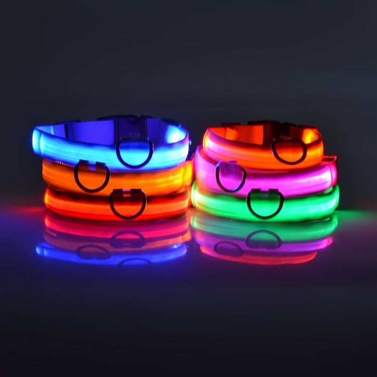 Glow LED Pet Collar USB Rechargeable 2