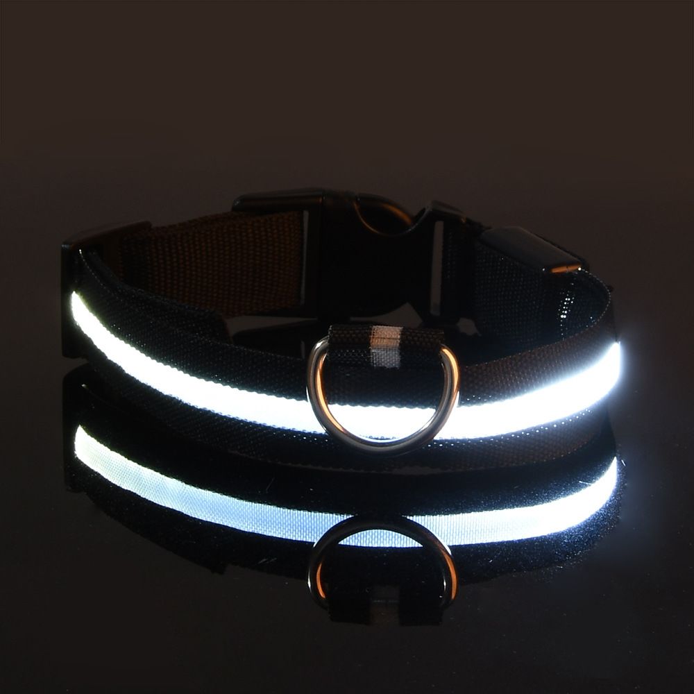 Glow LED Pet Collar USB Rechargeable 3