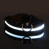 Glow LED Pet Collar USB Rechargeable 3