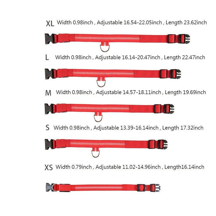 Glow LED Pet Collar USB Rechargeable 4