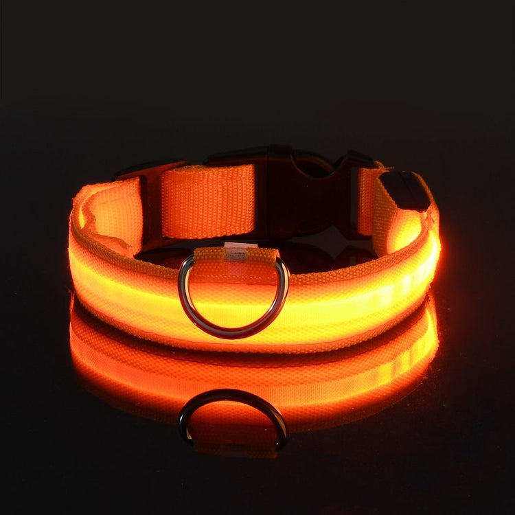 Glow LED Pet Collar USB Rechargeable 5