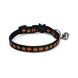 Halloween collar on a small puppy
