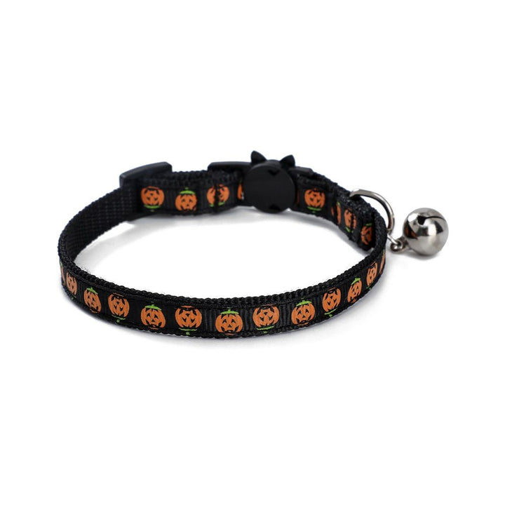 Halloween collar on a small puppy