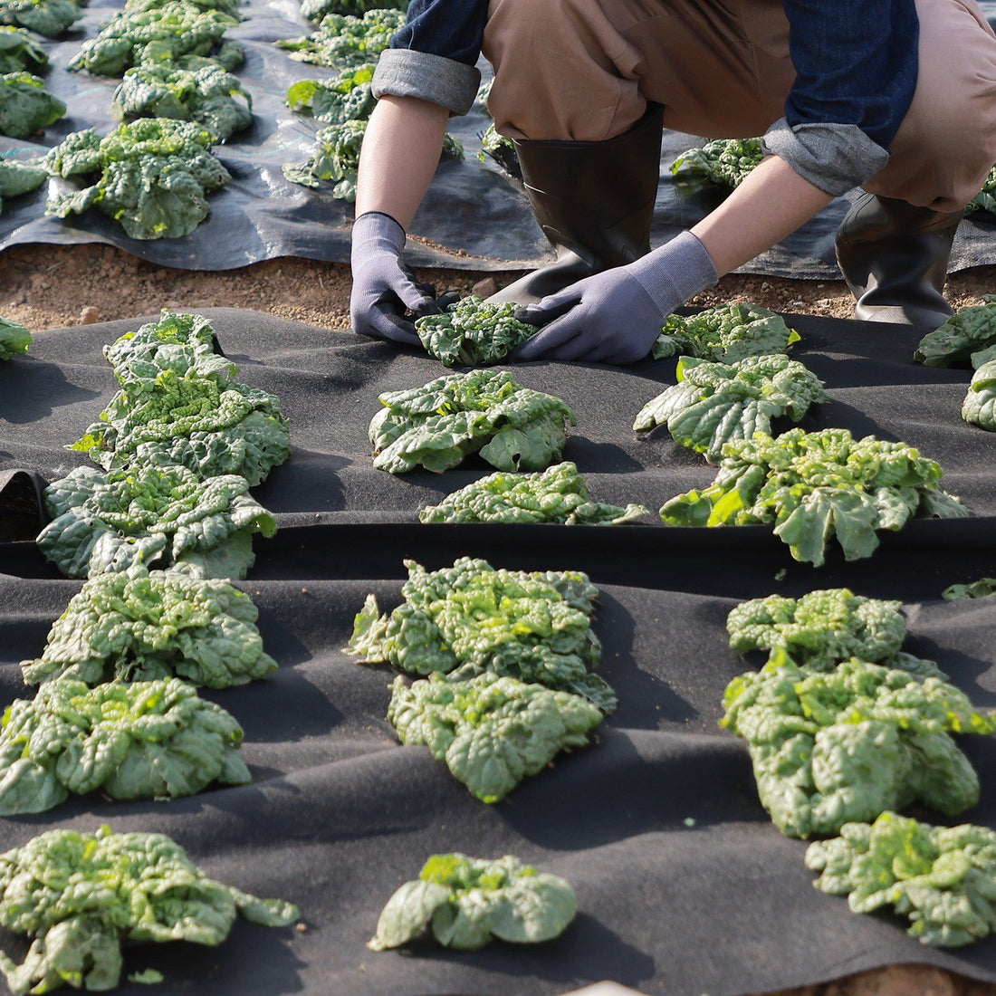 Heavy-Duty Non-Woven Ground Fabric packaging view