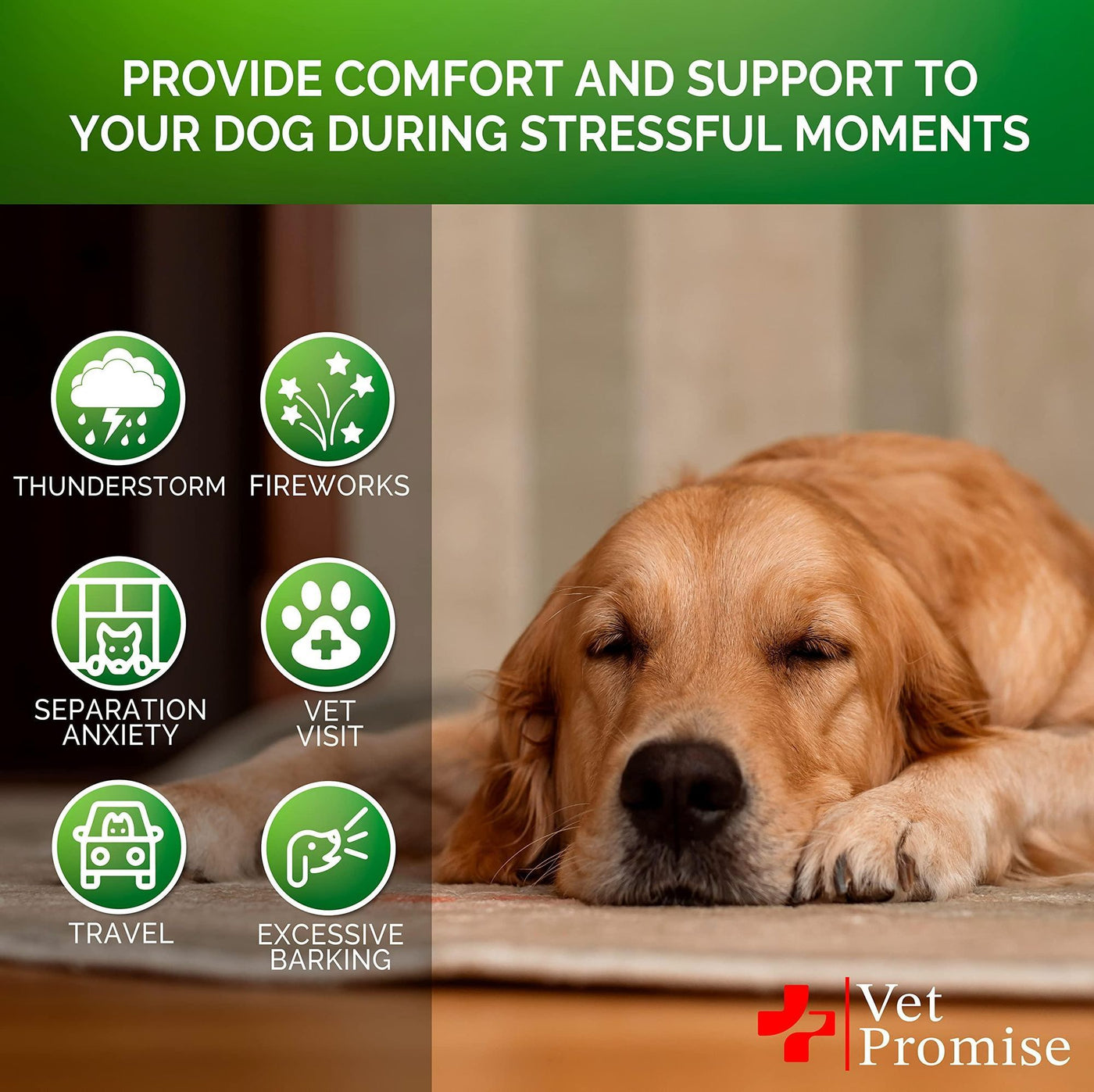 Hemp Calming Dog Anxiety Chews detail view 4