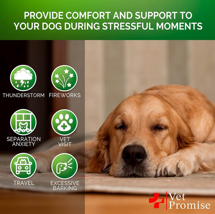 Hemp Calming Dog Anxiety Chews detail view 4