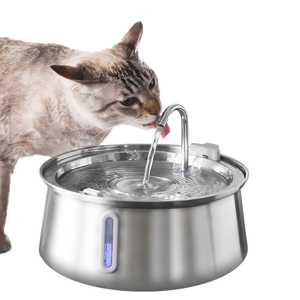Pet water fountain showing the clear water-level window
