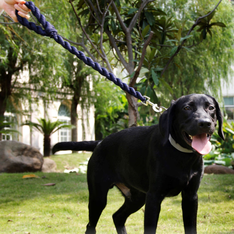 Industrial Strength Dog Leash
